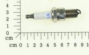 sparkplug
