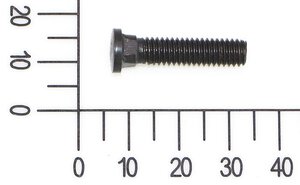 Carriage bolt