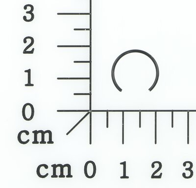 Sicherungsring