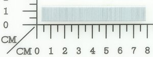Tackerklammern 100 x 10 mm