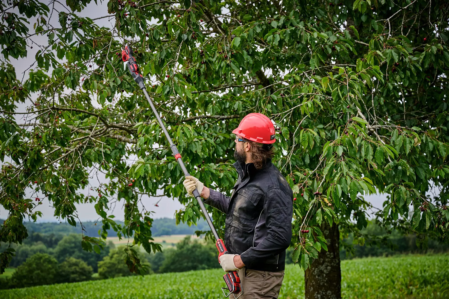 einhell-accessory-pruning-shears-accessory-3408322-example_usage-001