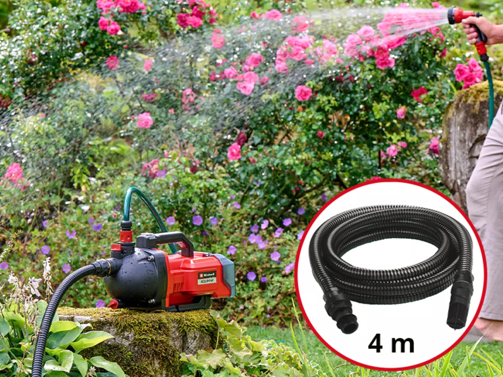 The Einhell cordless garden pump AQUINNA 36/30 Set watering flowers, with hose and 4 m suction hose illustration.