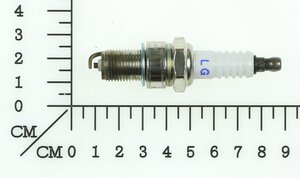 spare spark plug (additional)