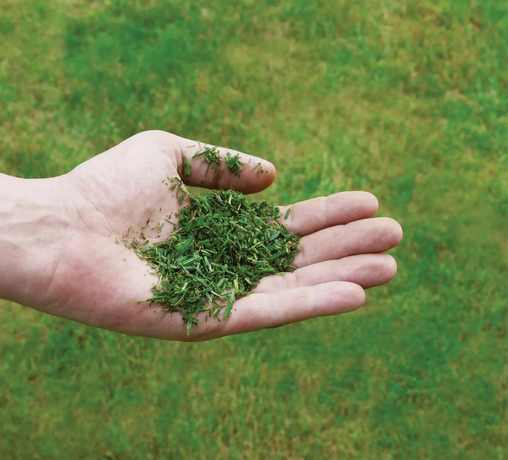 einhell-classic-petrol-lawn-mower-3404355-example_usage-001