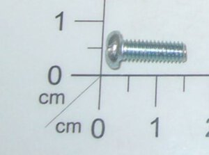 Screw