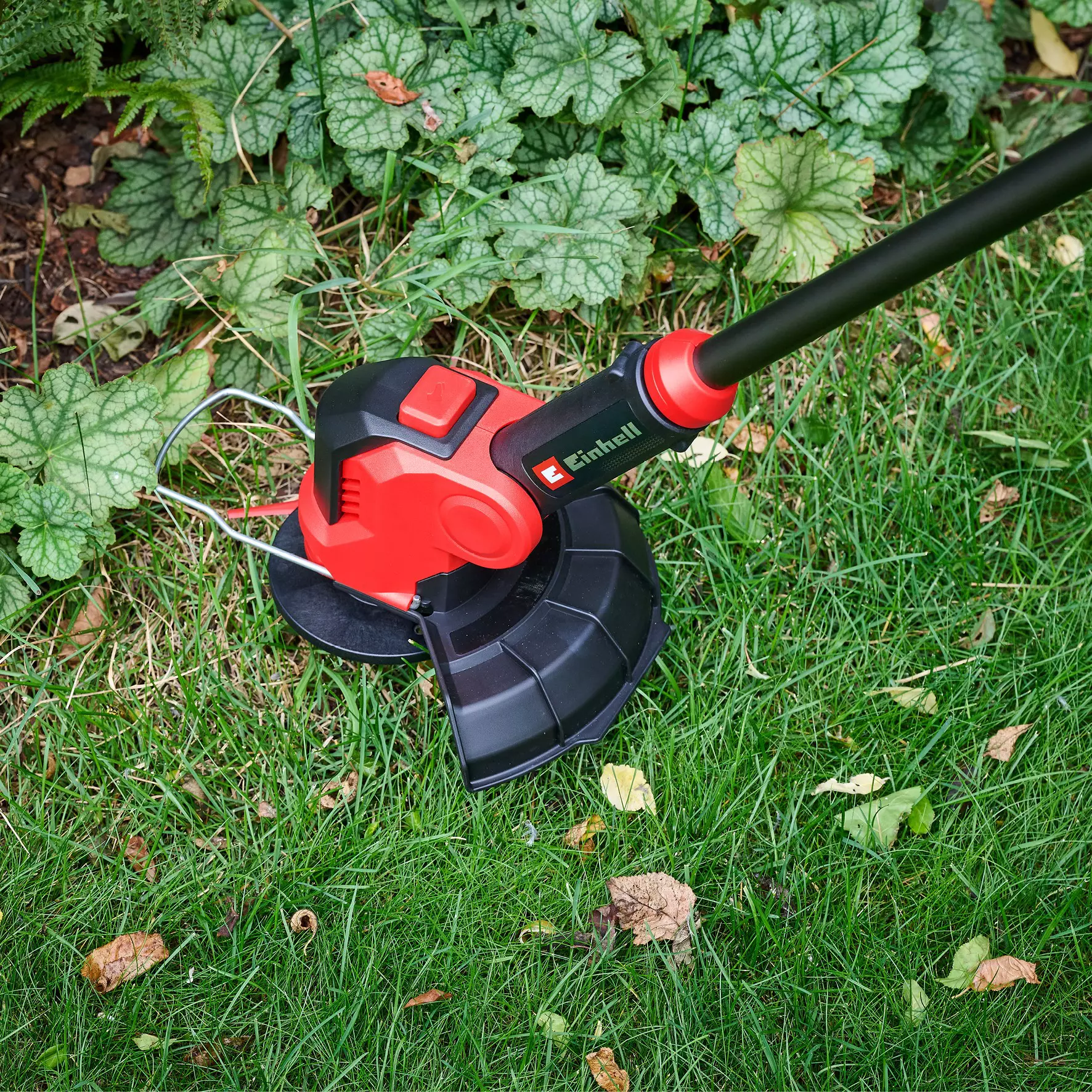 einhell-expert-cordless-lawn-trimmer-3411255-detail_image-004