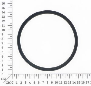 Dichtring
