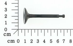 exhaust Valve