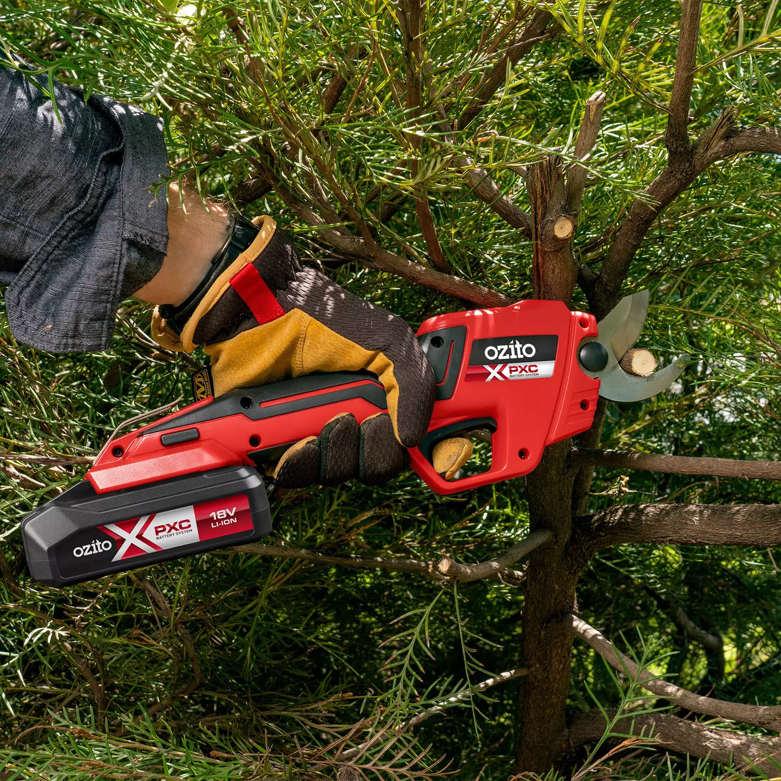 ozito-cordless-pruning-shears-3001249-example_usage-101