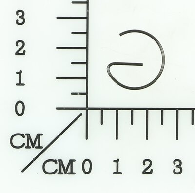 Sicherungsring