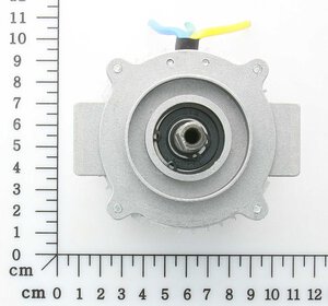 DC brushless-type motor