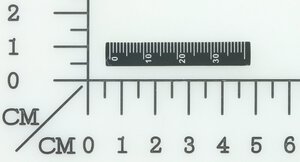 scale plate