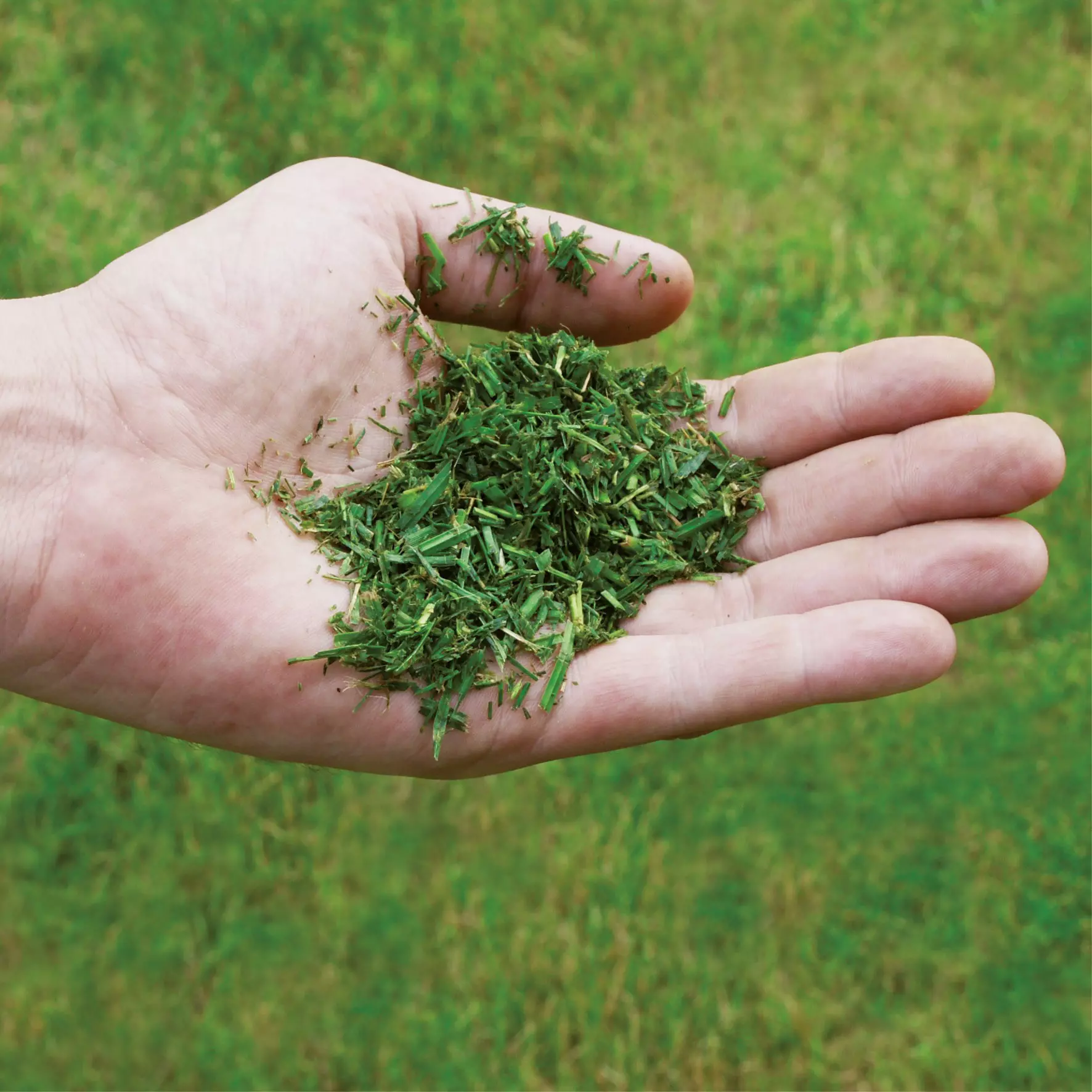 einhell-expert-cordless-lawn-mower-3413054-detail_image-001