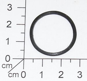 seal ring