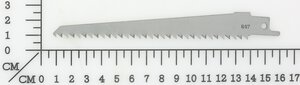 Sägeblatt