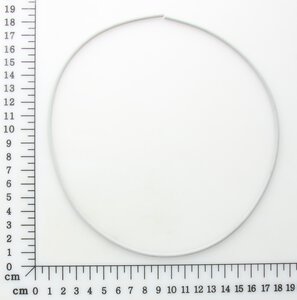 Dichtring