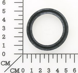 Dichtring