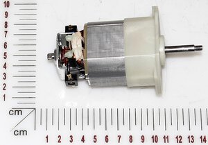 Motor