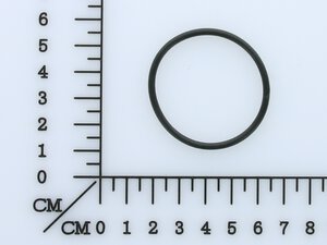 O-ring