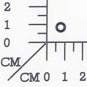 O ring