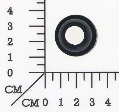 O-Ring