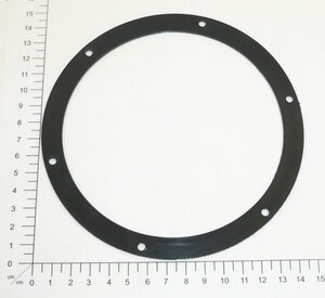 Dichtring