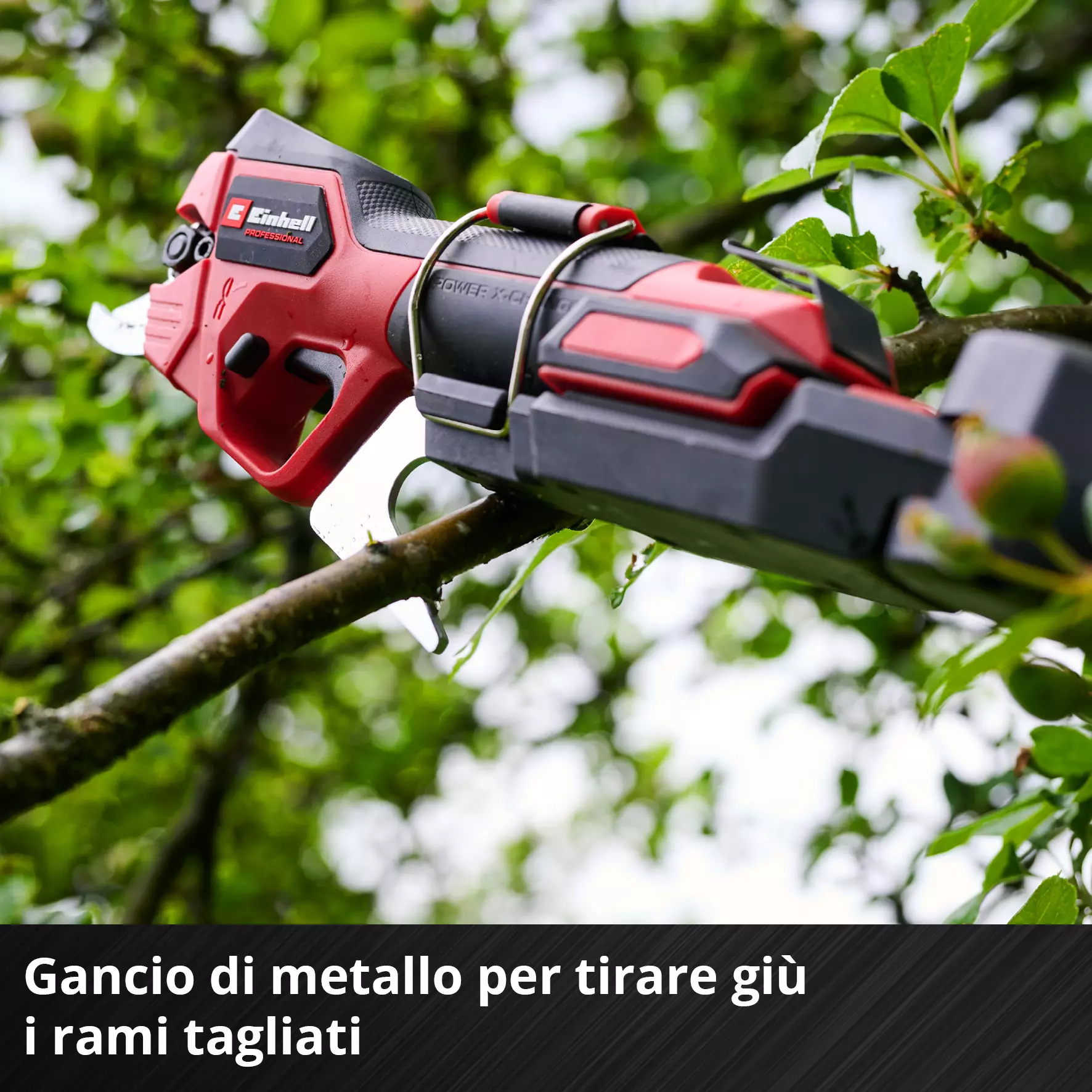 einhell-professional-cordless-pruning-shears-3408330-detail_image-007