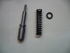 Bolzen/Feder Set 