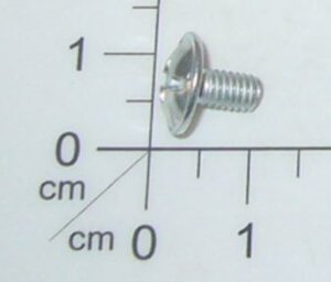 Screw