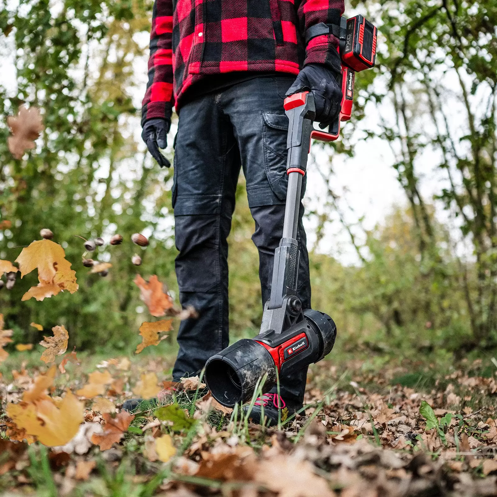 einhell-professional-cordless-leaf-blower-3001509-example_usage-001
