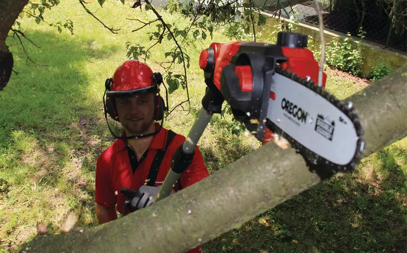 einhell-expert-cl-pole-mounted-powered-pruner-3410810-example_usage-001