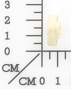 Magnetring