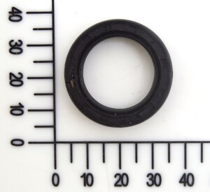 oil seal