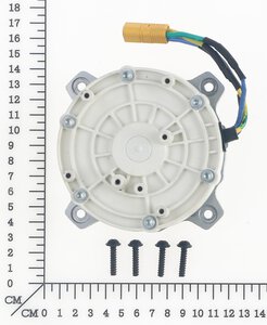 Motor assembly