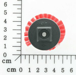 Bürstenrolle