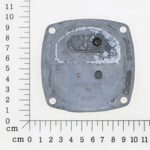 Exhaust valve plate assembly