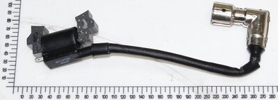Zündspule Für Einhell Stromerzeuger - Kompatibel Mit BT-BG 2000/2, STE2500