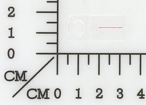 scale pointer