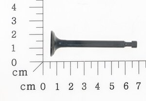 Exhaust Valve