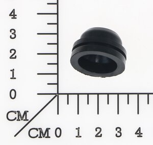 seal ring