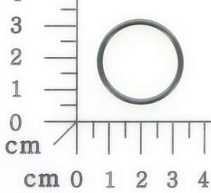 o-ring