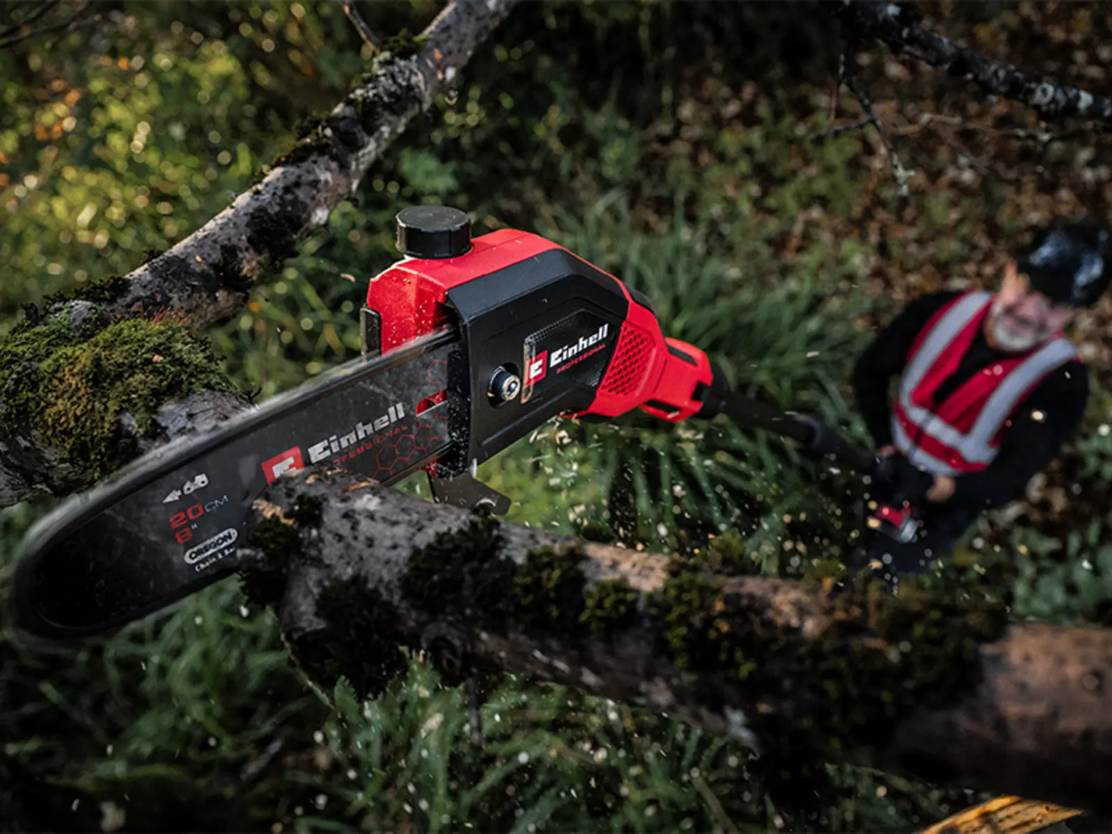 A man uses the Einhell cordless pole pruner GP-LC 18/20 Li T BL-Solo to cut a moss-covered branch from below.