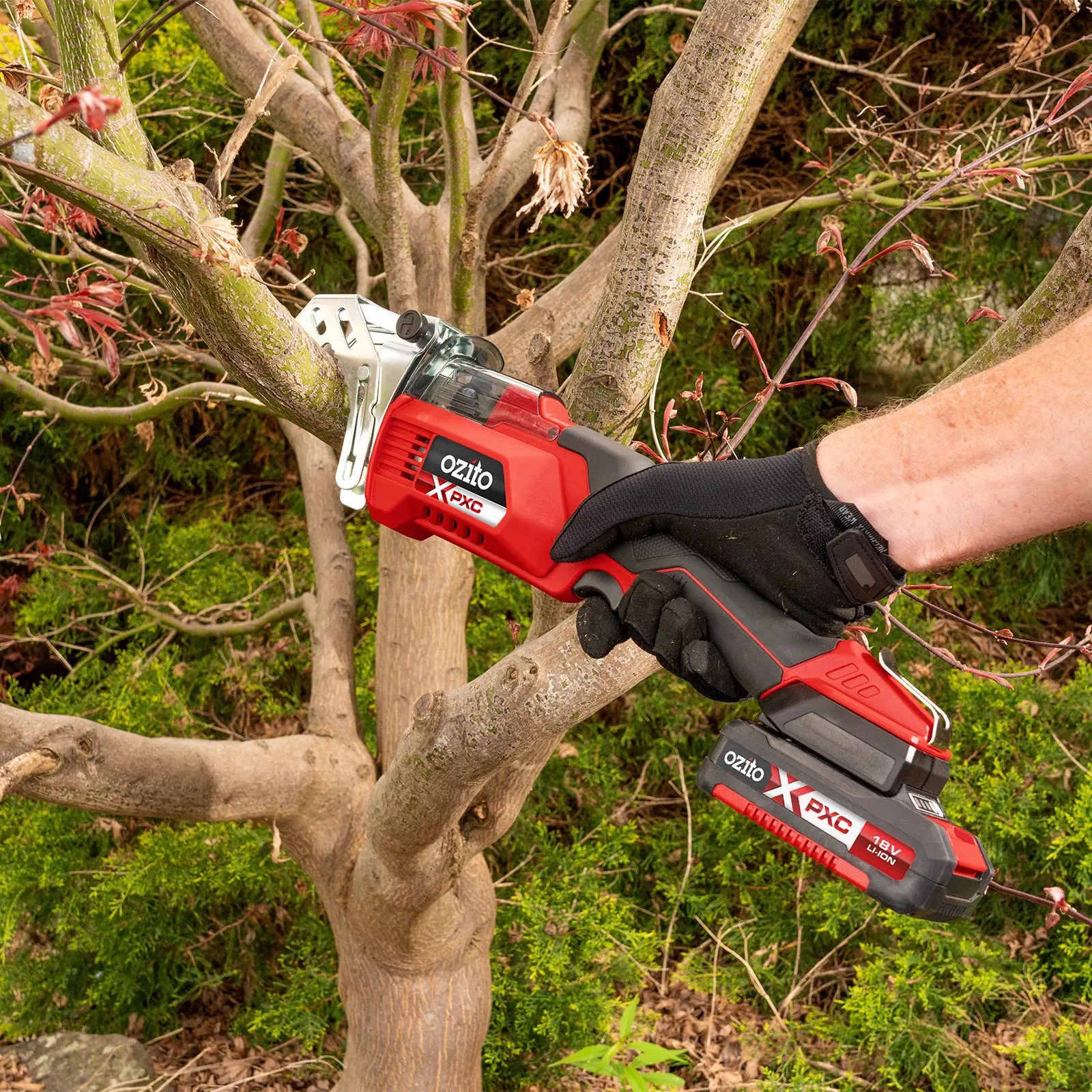 ozito-cordless-pruning-saw-3000950-example_usage-103