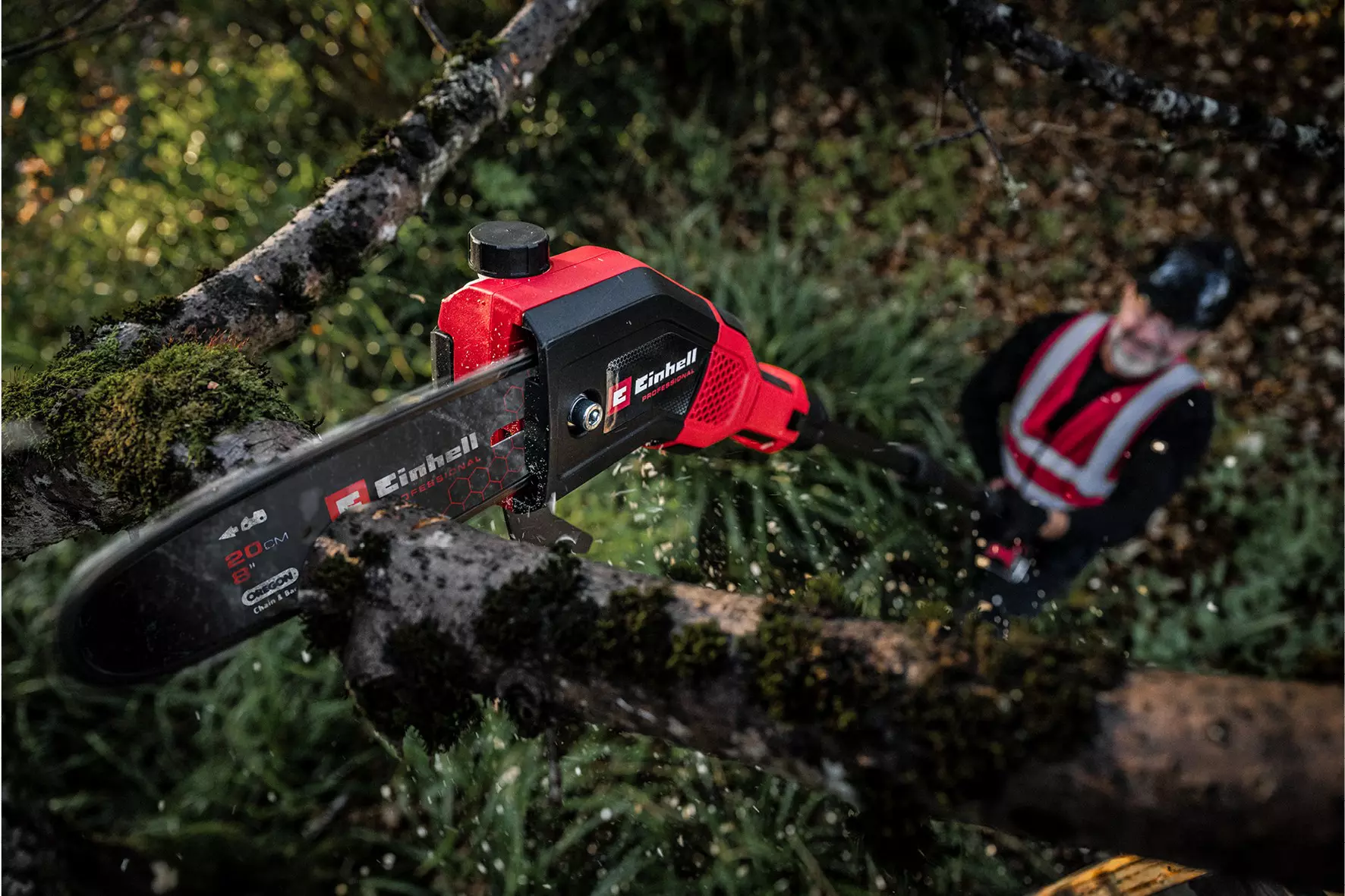 einhell-professional-cl-pole-mounted-powered-pruner-3410971-example_usage-001