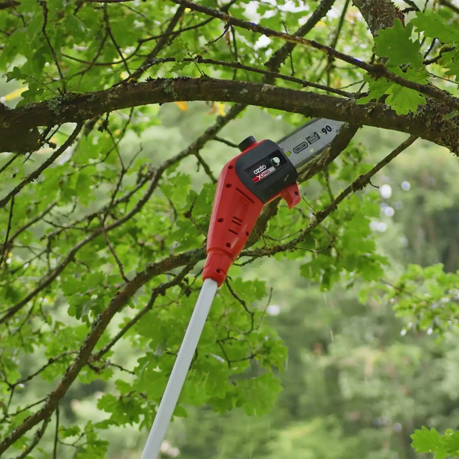 ozito-cordless-pole-mounted-powered-pruner-3001087-example_usage-102