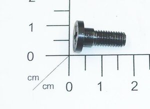 screw of locking pole