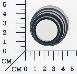 Step adaptor