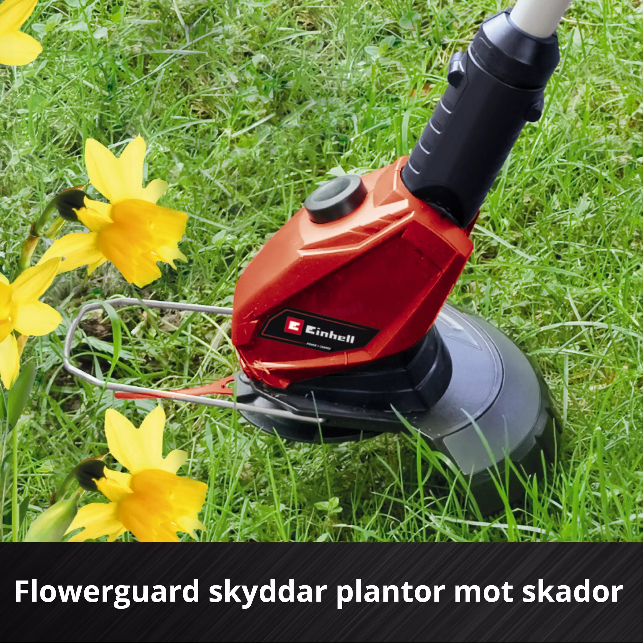 einhell-expert-cordless-lawn-trimmer-3411219-detail_image-006