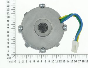 Brushless-Motor