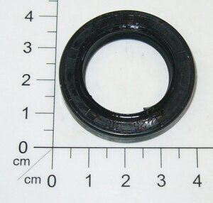 Dichtring